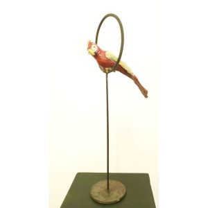 S: « Le perroquet rouge »