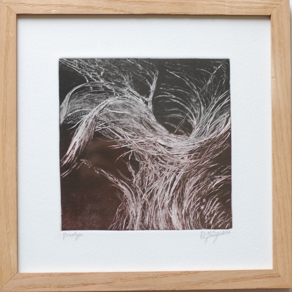 « Le nid » – Image 2